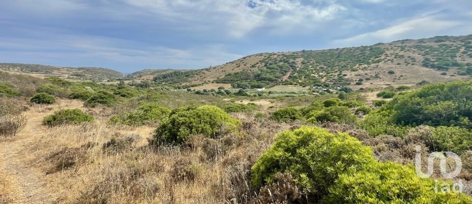 Terreno em Budens de 10 040 m²