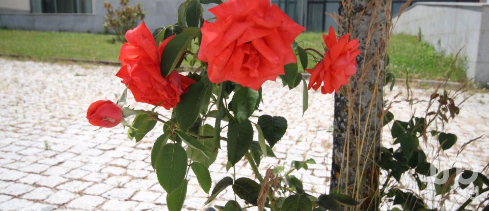 Terreno em Almeida de 550 m²