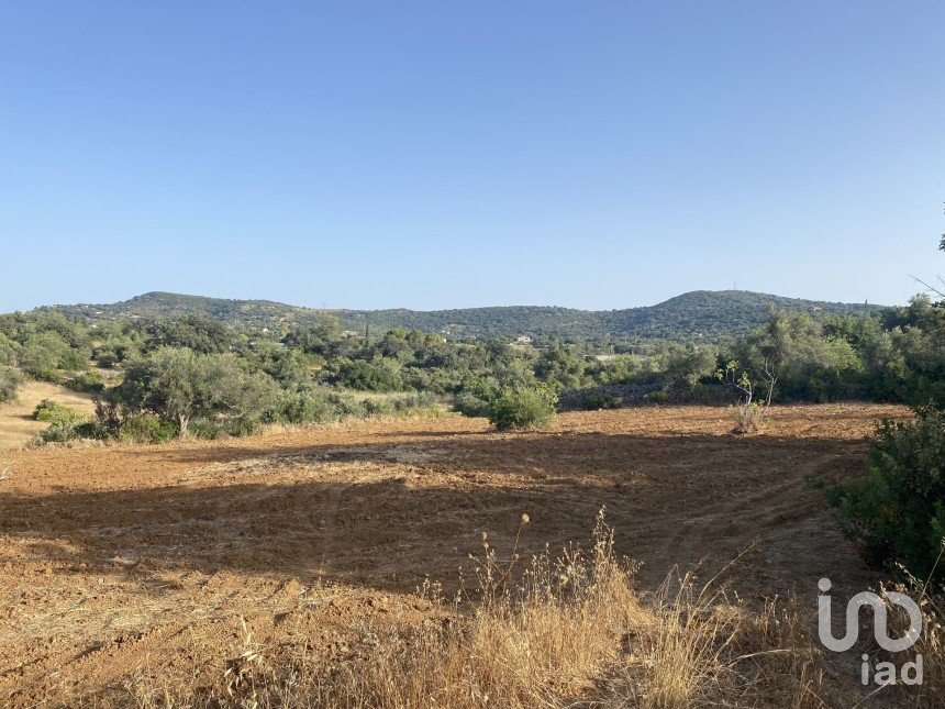 Terreno em Santa Bárbara de Nexe de 2 450 m²