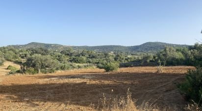 Terrain à Santa Bárbara de Nexe de 2 450 m²