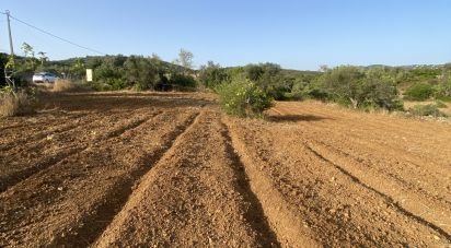 Land in Santa Bárbara de Nexe of 2,450 m²