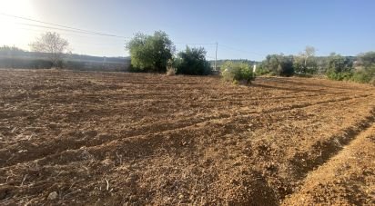 Land in Santa Bárbara de Nexe of 2,450 m²