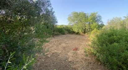 Terrain à Santa Bárbara de Nexe de 2 450 m²