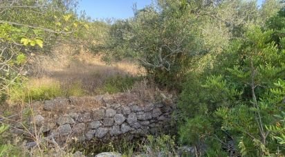 Land in Santa Bárbara de Nexe of 2,450 m²