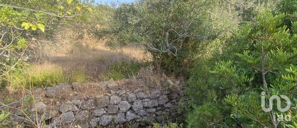 Terreno em Santa Bárbara de Nexe de 2 450 m²