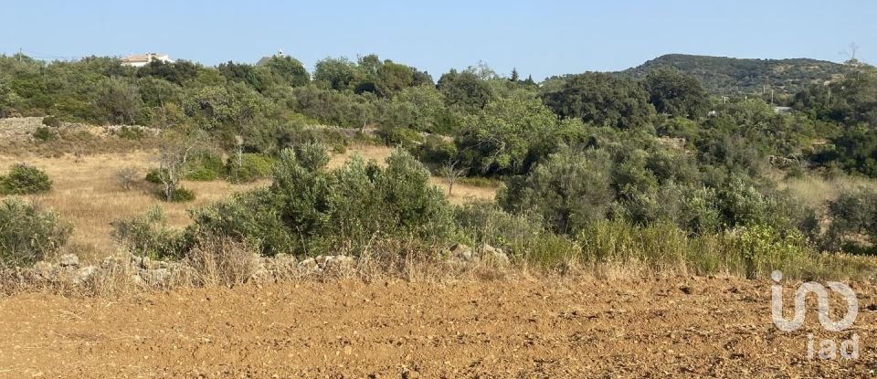 Terreno em Santa Bárbara de Nexe de 2 450 m²