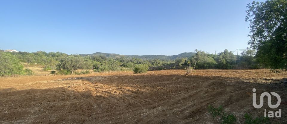 Terreno em Santa Bárbara de Nexe de 2 450 m²
