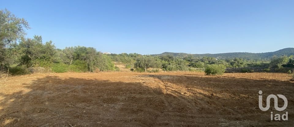 Terreno em Santa Bárbara de Nexe de 2 450 m²