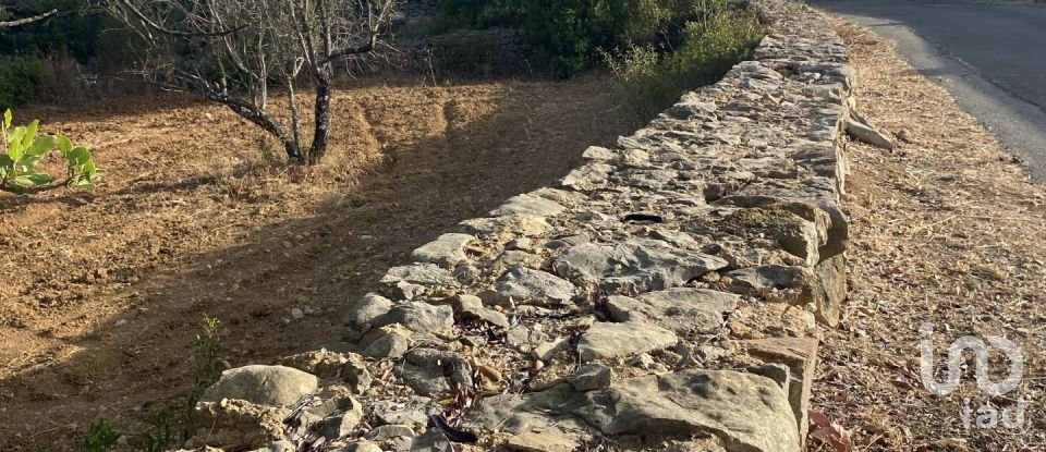 Terreno em Santa Bárbara de Nexe de 2 450 m²