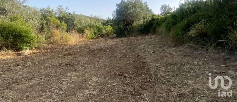 Terreno em Santa Bárbara de Nexe de 2 450 m²