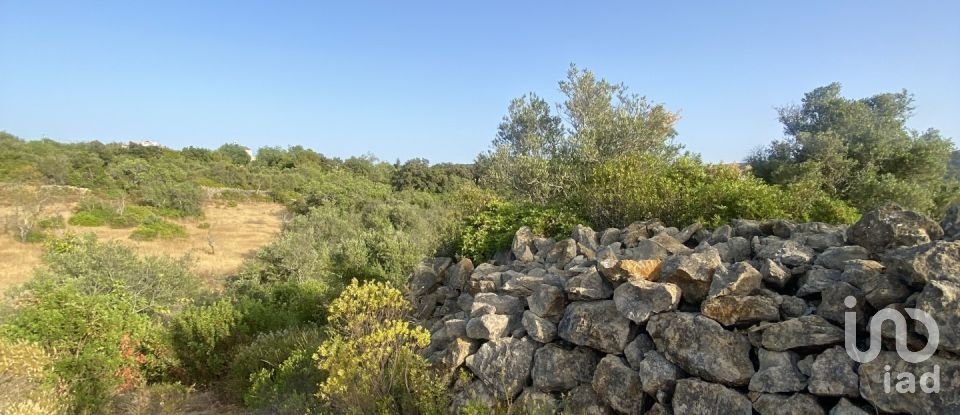 Terreno em Santa Bárbara de Nexe de 2 450 m²