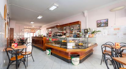 Shop / premises commercial in Montenegro of 169 m²