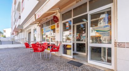 Shop / premises commercial in Montenegro of 169 m²