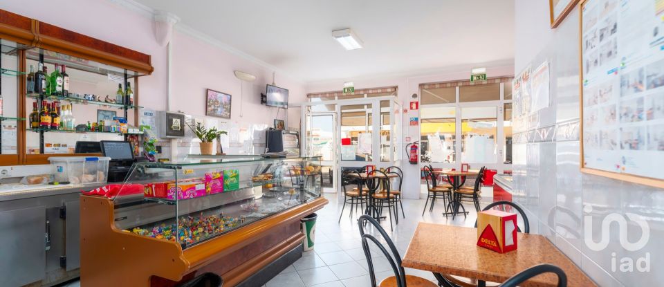 Boutique/Local commercial à Montenegro de 169 m²