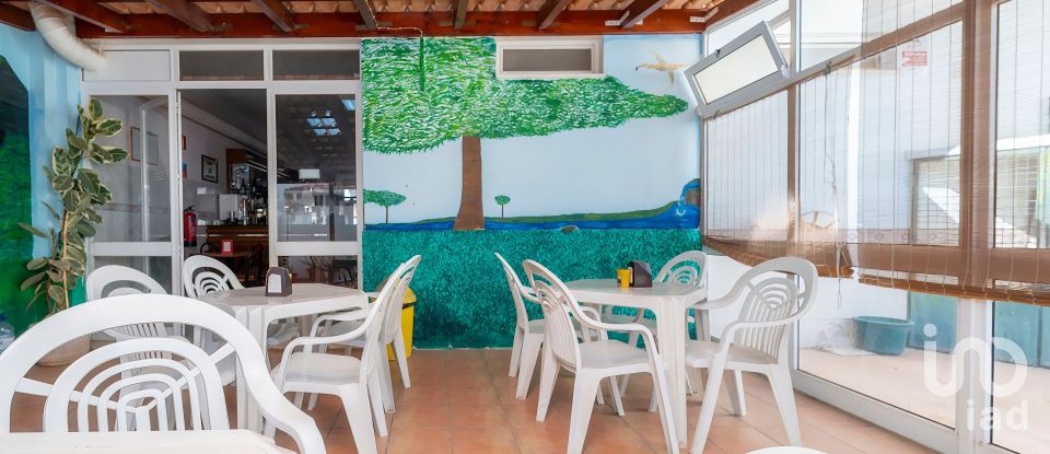 Boutique/Local commercial à Montenegro de 169 m²