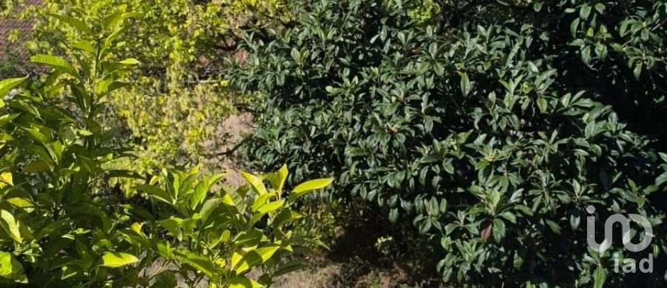 Moradia T3 em Ovar, São João, Arada e São Vicente de Pereira Jusã de 229 m²