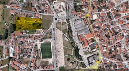 Terrain agricole à Marinha Grande de 17 460 m²