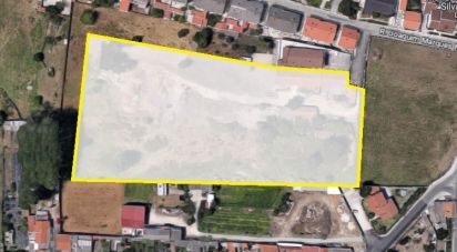 Terrain agricole à Marinha Grande de 17 460 m²