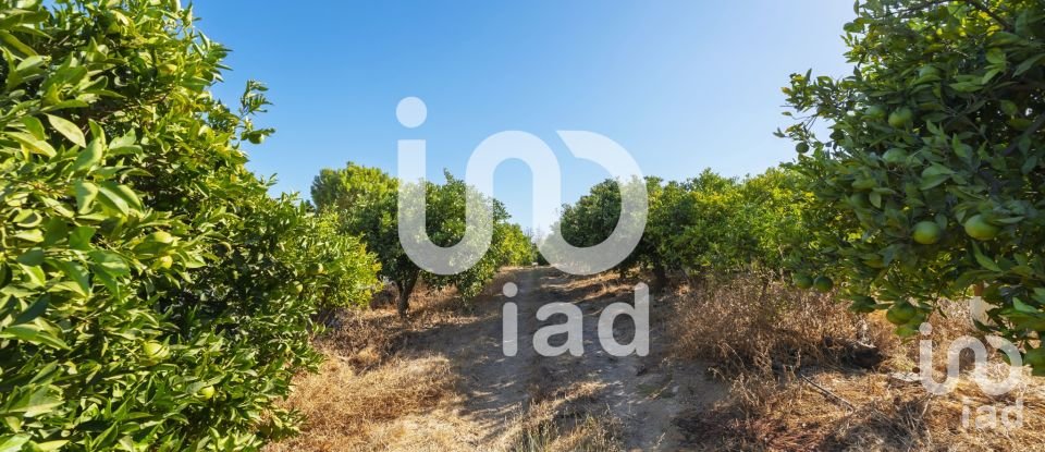 Moradia T1 em Alcantarilha e Pêra de 75 m²