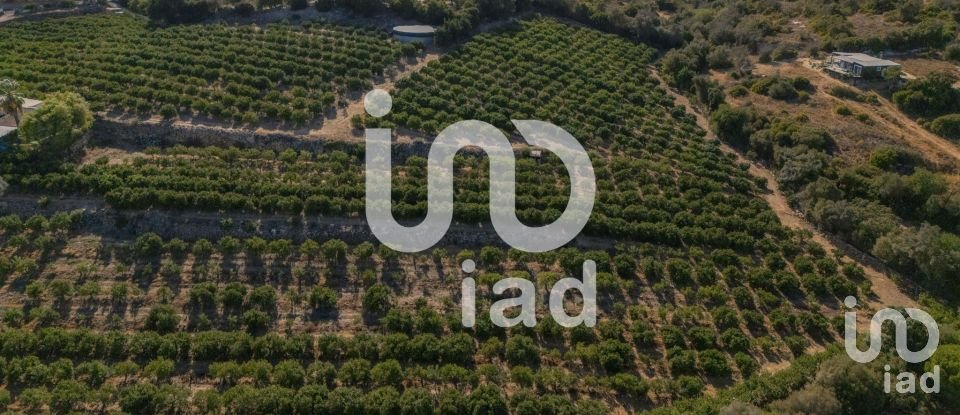 Moradia T1 em Alcantarilha e Pêra de 75 m²