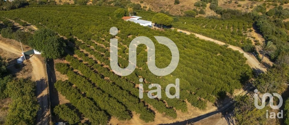 Moradia T1 em Alcantarilha e Pêra de 75 m²