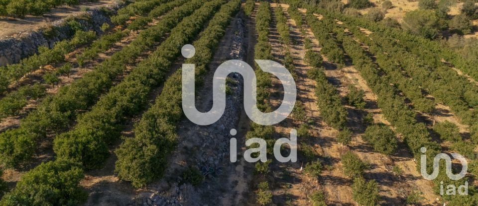 Moradia T1 em Alcantarilha e Pêra de 75 m²