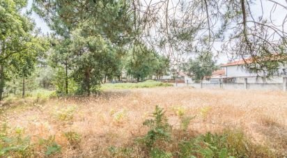 Terrain agricole à Marinha Grande de 702 m²