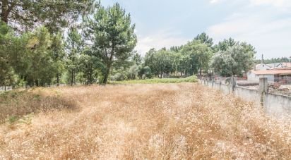 Terrain agricole à Marinha Grande de 702 m²