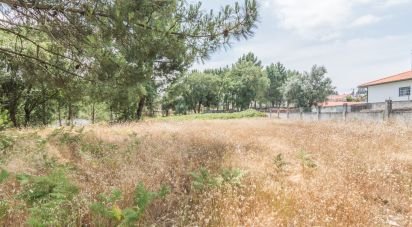 Terrain agricole à Marinha Grande de 702 m²