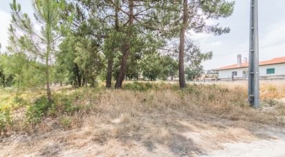 Terrain agricole à Marinha Grande de 702 m²