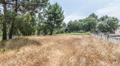 Terrain agricole à Marinha Grande de 702 m²