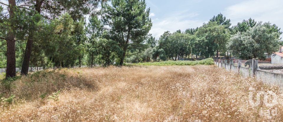 Terreno rústico em Marinha Grande de 702 m²