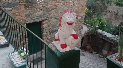 Maison T2 à Sobreira Formosa e Alvito da Beira de 146 m²