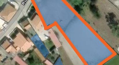 Terrain agricole à Vieira de Leiria de 3 505 m²