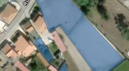 Terrain agricole à Vieira de Leiria de 3 505 m²