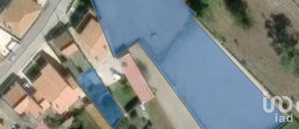 Terreno rústico em Vieira de Leiria de 3 505 m²