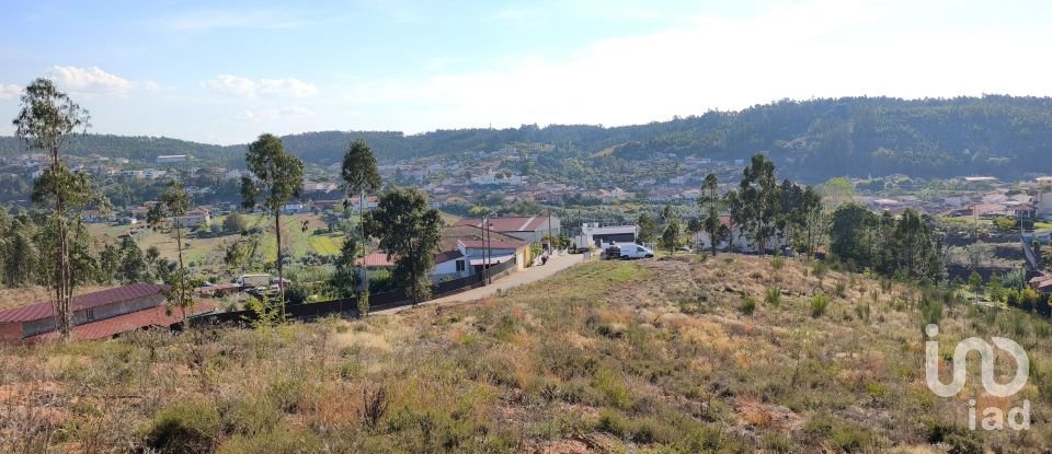 Terreno em Vila Nova de Monsarros de 6 354 m²