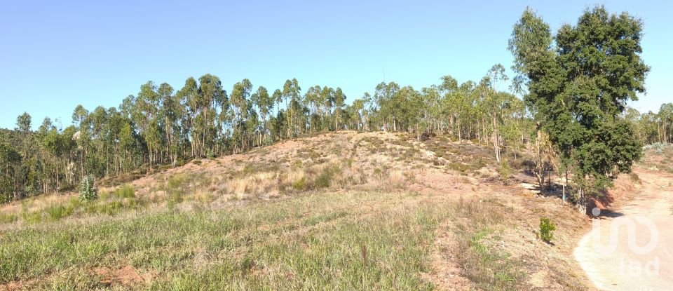 Terreno em Vila Nova de Monsarros de 6 354 m²