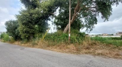 Land in Marrazes e Barosa of 1,180 m²