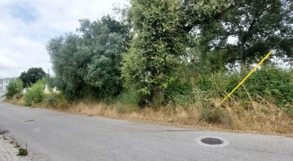 Terrain à Marrazes e Barosa de 1 180 m²