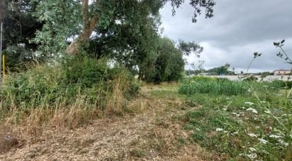 Terrain à Marrazes e Barosa de 1 180 m²