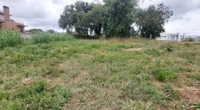 Terrain à Marrazes e Barosa de 1 180 m²