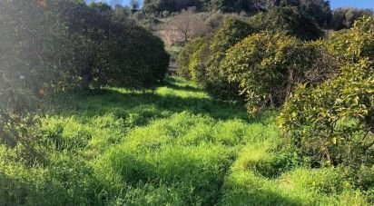 Terrain à Paderne de 1 120 m²