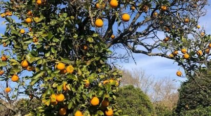 Terrain à Paderne de 1 120 m²