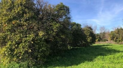 Terrain à Paderne de 1 120 m²