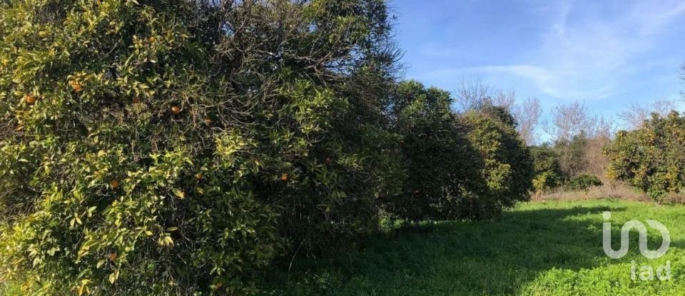 Land in Paderne of 1,120 m²