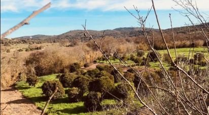 Terrain à Paderne de 1 120 m²