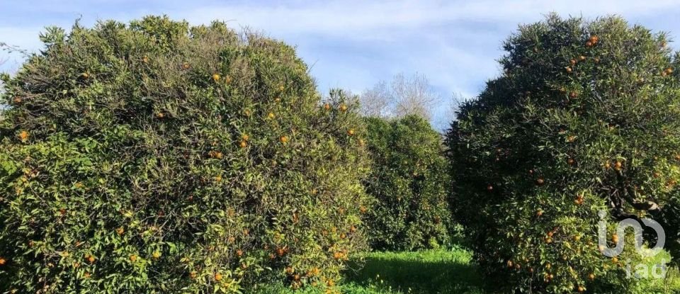 Land in Paderne of 1,120 m²