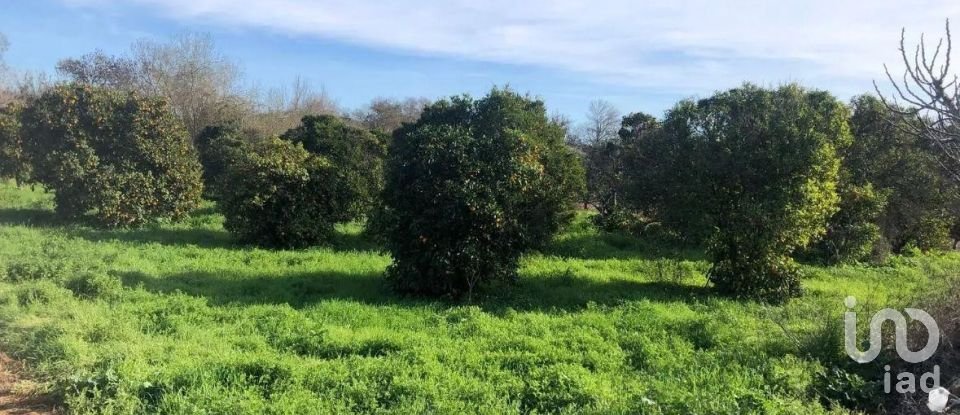 Land in Paderne of 1,120 m²