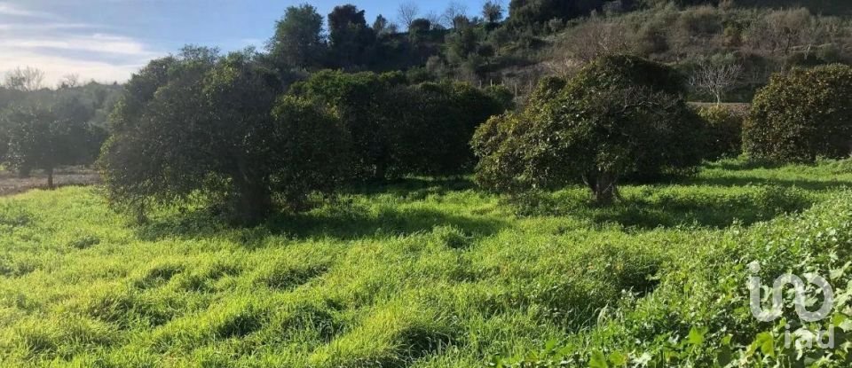 Land in Paderne of 1,120 m²